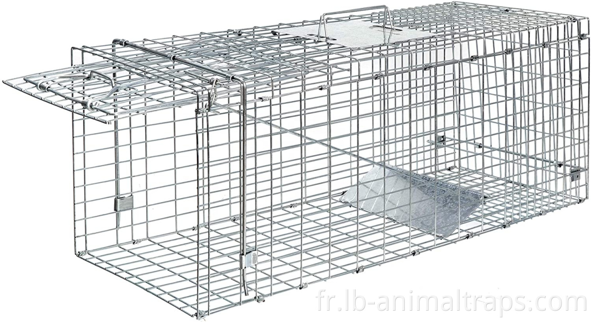 Steel Humane Release Rodent Cage for cat